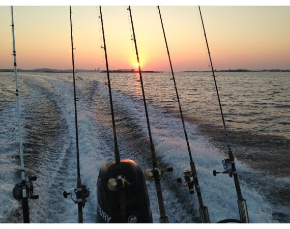 Smartlures Roofvis Festival 2026