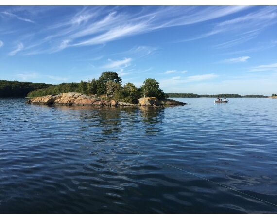 Smartlures Roofvis Festival 2026