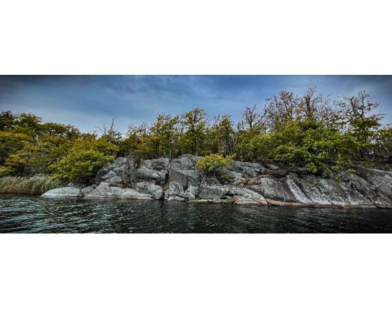 Smartlures Roofvis Festival 2026