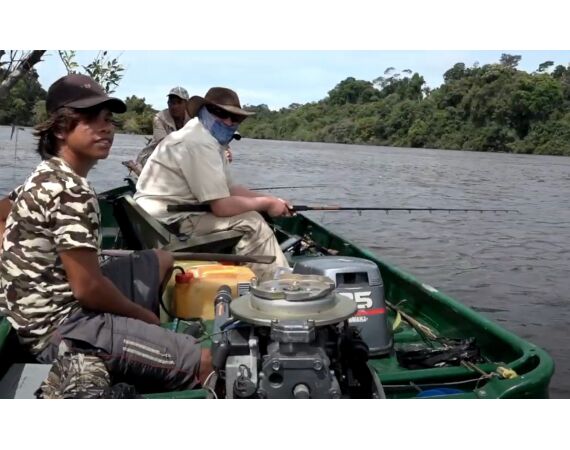Amazone Guyana