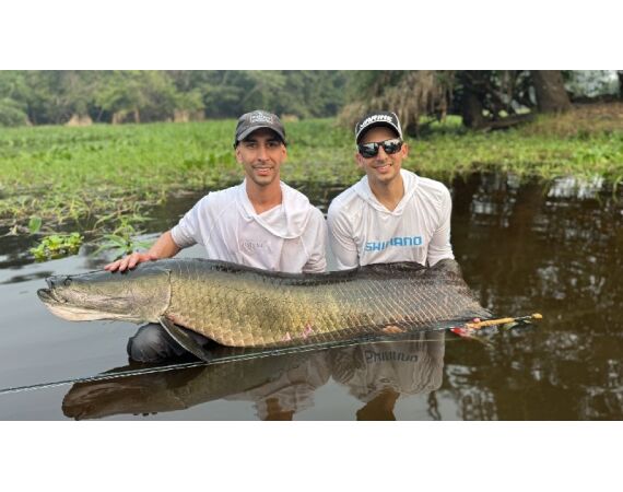 Arapaima Bolivia