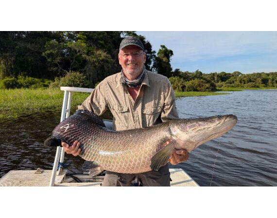 Arapaima Bolivia