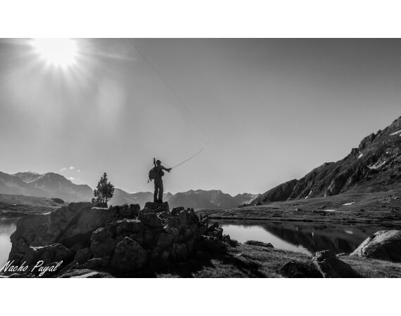 Op de top van de Pyreneeën