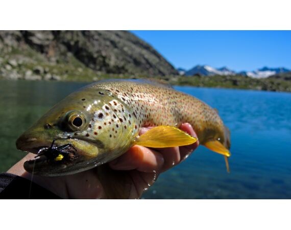 Op de top van de Pyreneeën