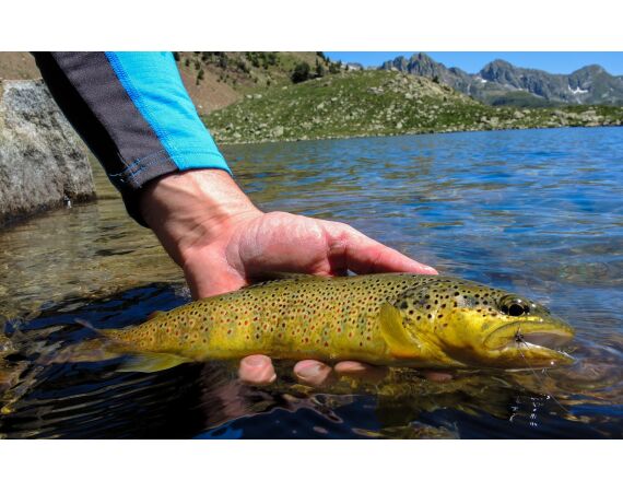 Op de top van de Pyreneeën