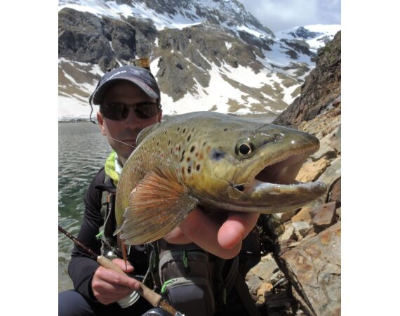 Op de top van de Pyreneeën