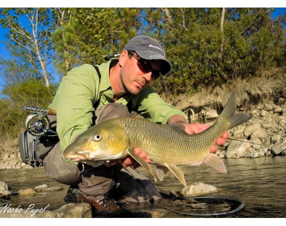 Pyreneeën van oost naar west