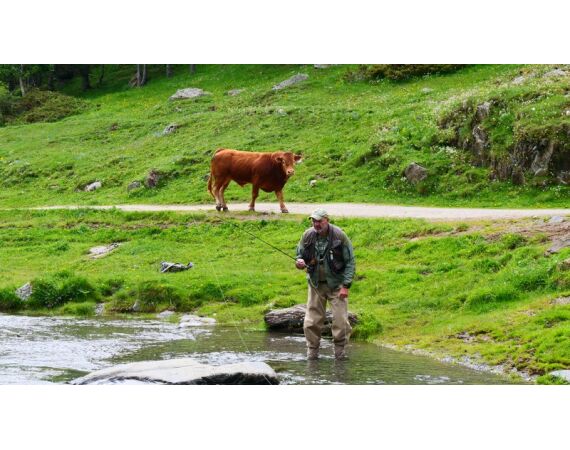 Pyreneeën van oost naar west