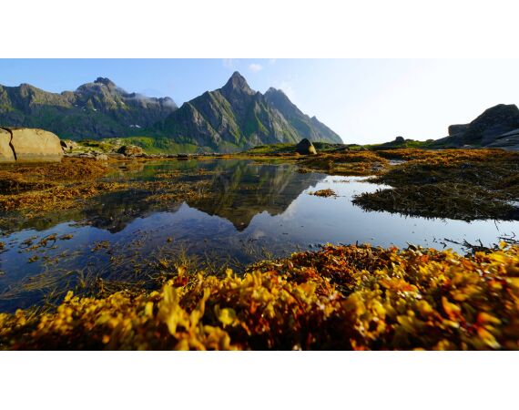 Hemmingodden Nappstraumen