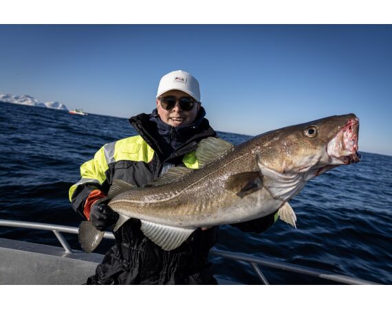 Hemmingodden Nappstraumen