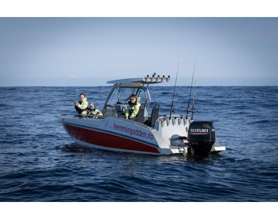 Hemmingodden Nappstraumen