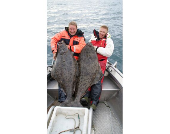 Havoysund Arronet boot