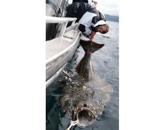 Havoysund Arronet boot