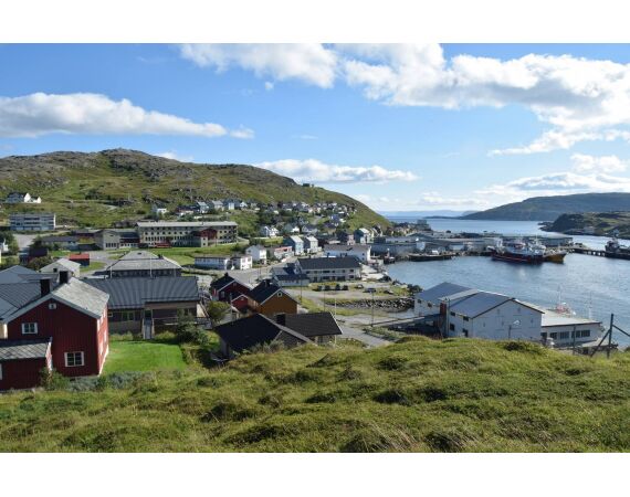 Havoysund Arronet boot