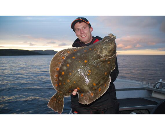 Havoysund Arronet boot