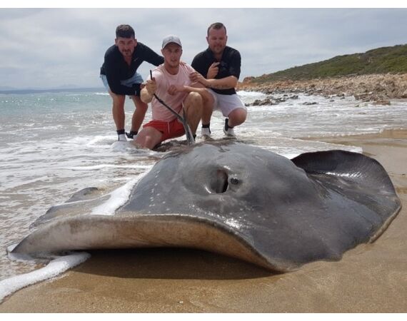 Zuid Afrika Mosselbaai