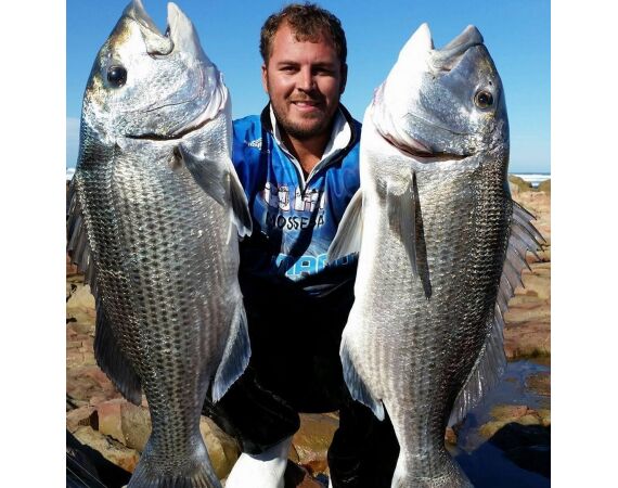 Zuid Afrika Mosselbaai