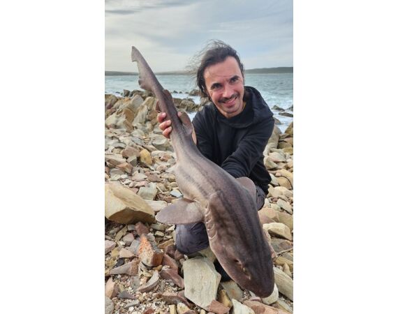 Zuid Afrika Mosselbaai