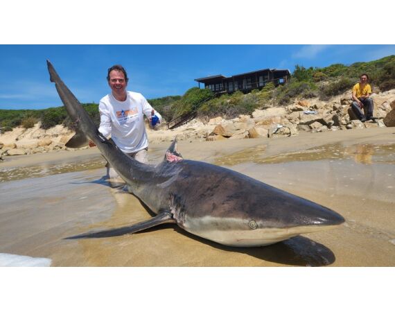 Zuid Afrika Mosselbaai