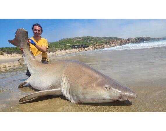 Zuid Afrika Mosselbaai