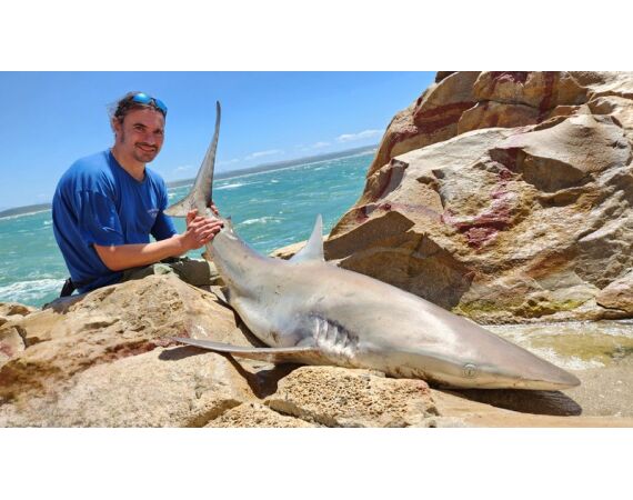 Zuid Afrika Mosselbaai