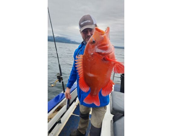 Zuid Afrika Mosselbaai