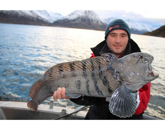 Savage Gear Loppa festival juni 2026