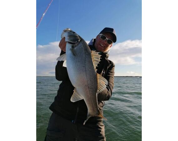 Spanje Blauwvintonijn