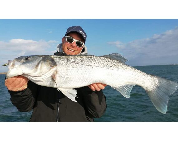 Spanje Blauwvintonijn