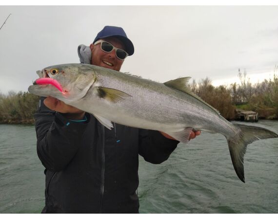 Spanje Blauwvintonijn