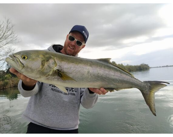 Spanje Blauwvintonijn