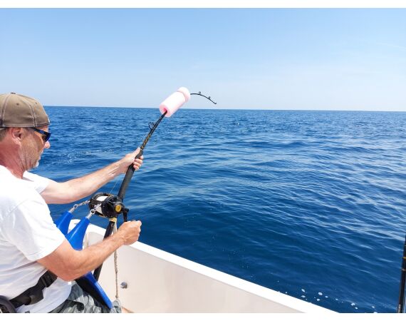 Spanje Blauwvintonijn