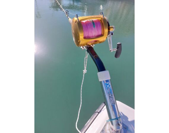 Spanje Blauwvintonijn