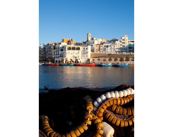 Spanje Blauwvintonijn