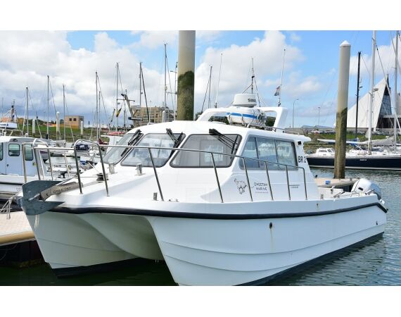 Spanje Blauwvintonijn