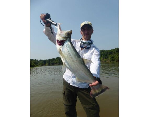 Arapaima Bolivia aug 2026