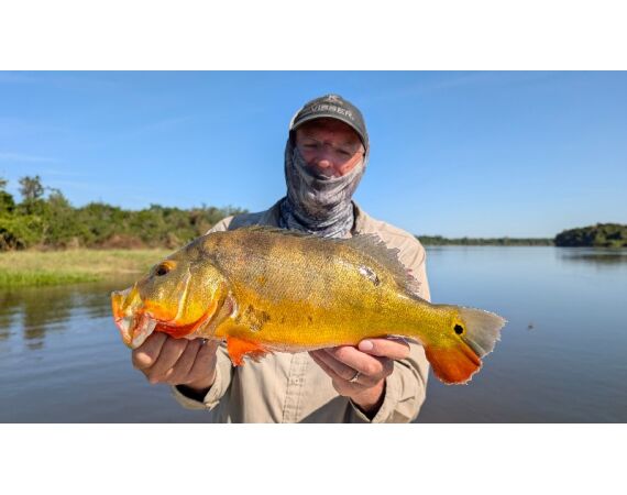 Arapaima Bolivia aug 2026