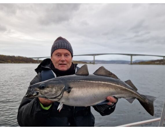 Raven Noorwegen festival 2026