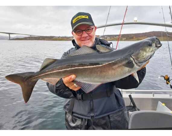 Raven Noorwegen festival 2026