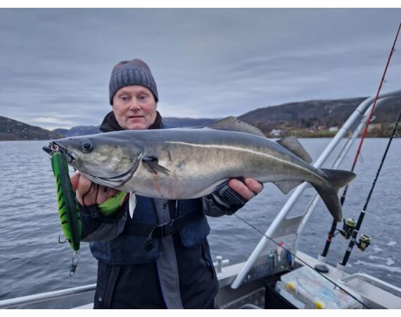 Raven Noorwegen festival 2026