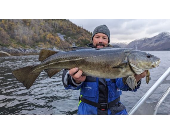 Raven Noorwegen festival 2026