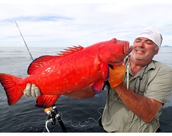 Madagascar Live aboard