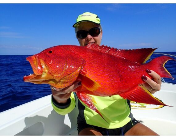 Madagascar Live aboard