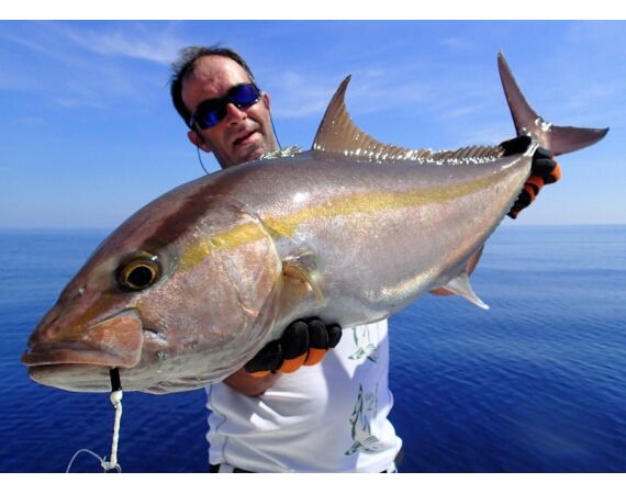 Madagascar Live aboard