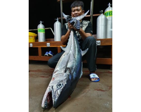 Indonesie Live aboard