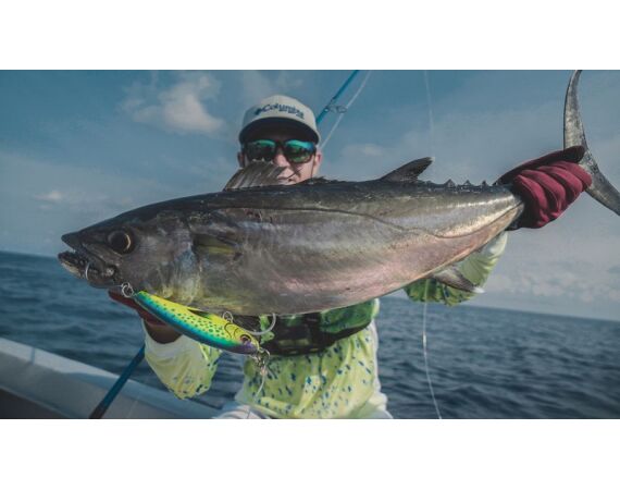 Indonesie Live aboard