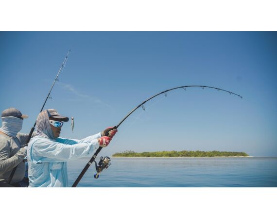 Indonesie Live aboard