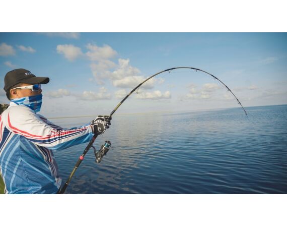 Indonesie Live aboard