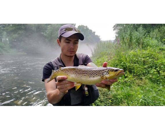 Van oost naar west in de Spaanse Pyreneeën okt 26