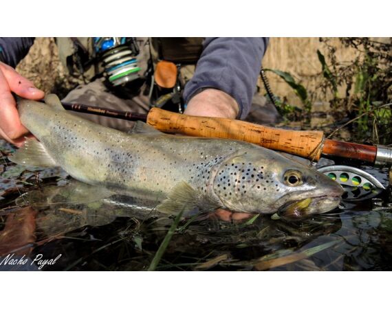 Van oost naar west in de Spaanse Pyreneeën okt 26